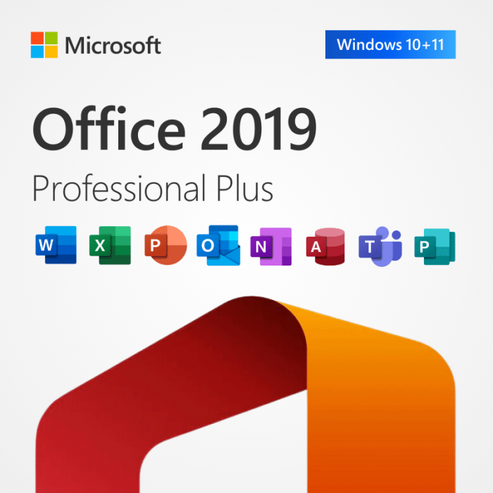 Microsoft Office Professional 2019 | Plus (1 PC)