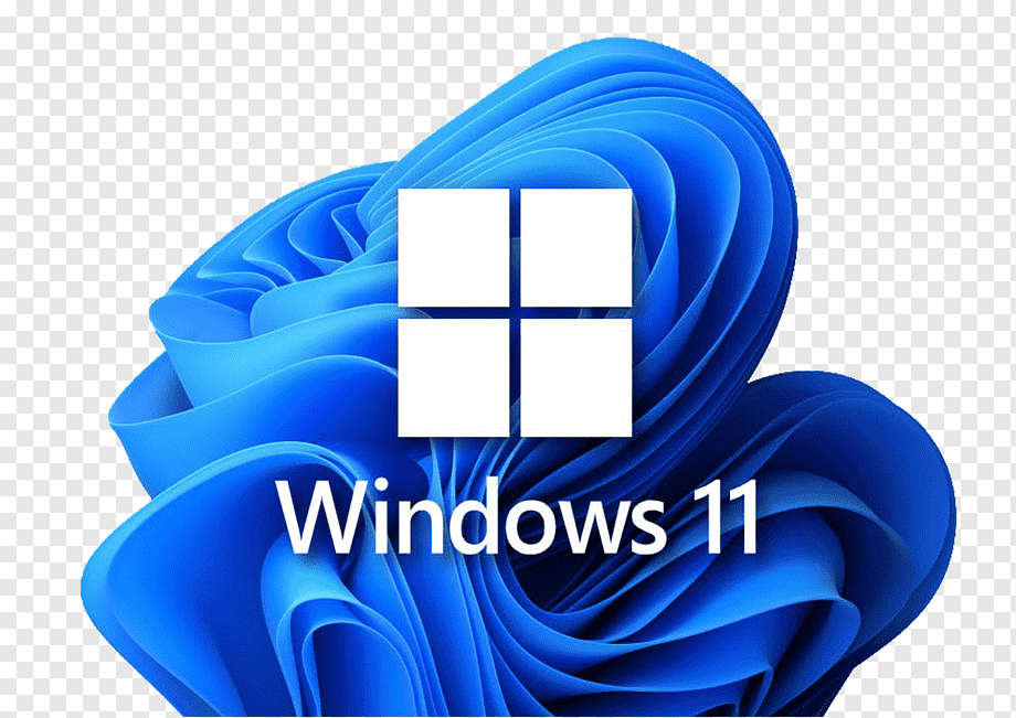 Microsoft Windows 11 Pro (PC)