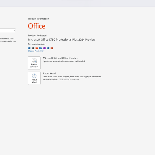 Microsoft Office 2024 | LTSC Professional Plus (PC)