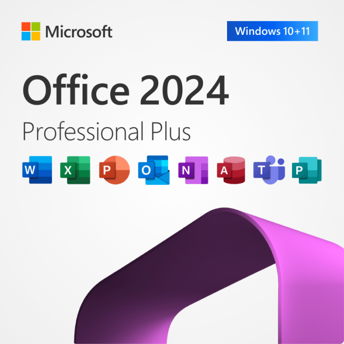 Microsoft Office 2024 | LTSC Professional Plus (PC)